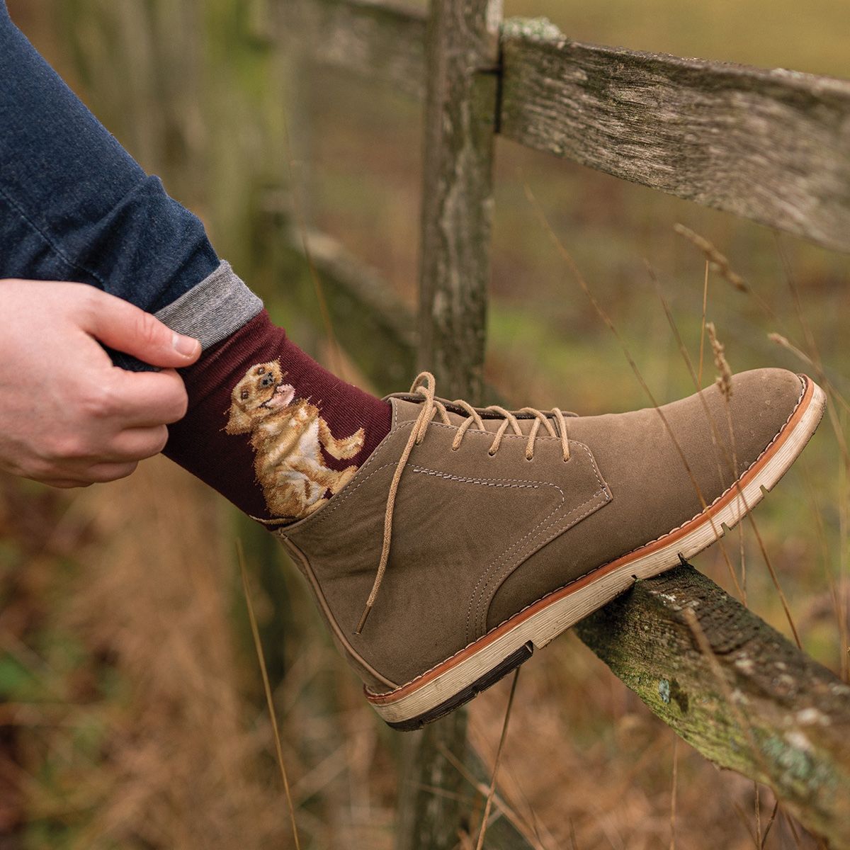 Wrendale 7-11 'Good as Gold' Labrador Men's Socks