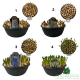 Spring Flowering Bulb Mix – 30cm Bowl (Choice of 12 - Muscari, Narcissus, Hyacinth and Leucojum Varieties)
