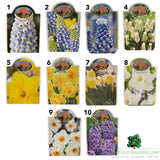 Spring Flowering Bulb Mix – 30cm Bowl (Choice of 12 - Muscari, Narcissus, Hyacinth and Leucojum Varieties)