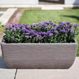 Stewarts 20L Cotswold Trough Millstone Planter - Grey - Old Railway Line Garden Centre