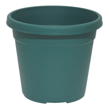 Stewarts 22cm Oasis Flower Pot - Green - Old Railway Line Garden Centre