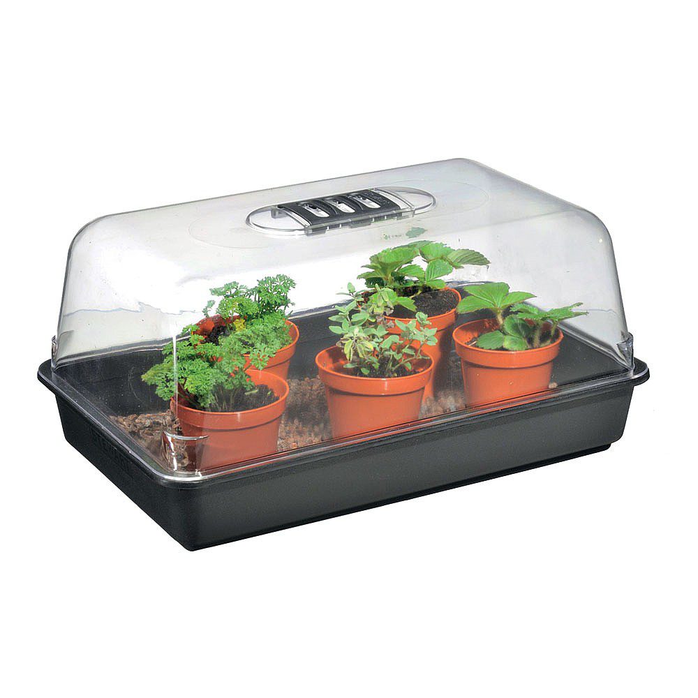 Stewarts 38cm Unheated Propagator - Old Railway Line Garden Centre