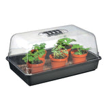 Stewarts 38cm Unheated Propagator - Old Railway Line Garden Centre
