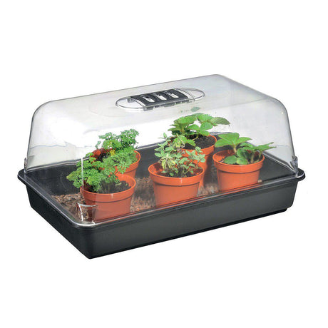 Stewarts 38cm Unheated Propagator - Old Railway Line Garden Centre
