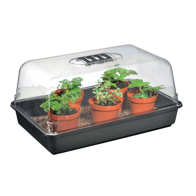 Stewarts 38cm Unheated Propagator - Old Railway Line Garden Centre