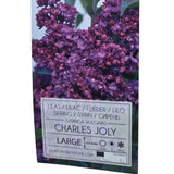 Syringa vulgaris 90cm 'Charles Joly' 10Ltr Pot