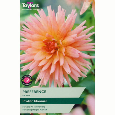 Taylors 1 Preference Dahlia Tuber - Old Railway Line Garden Centre