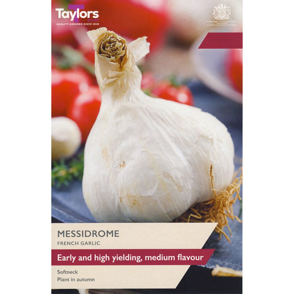 Taylors 2 Messidrome French Garlic Bulbs