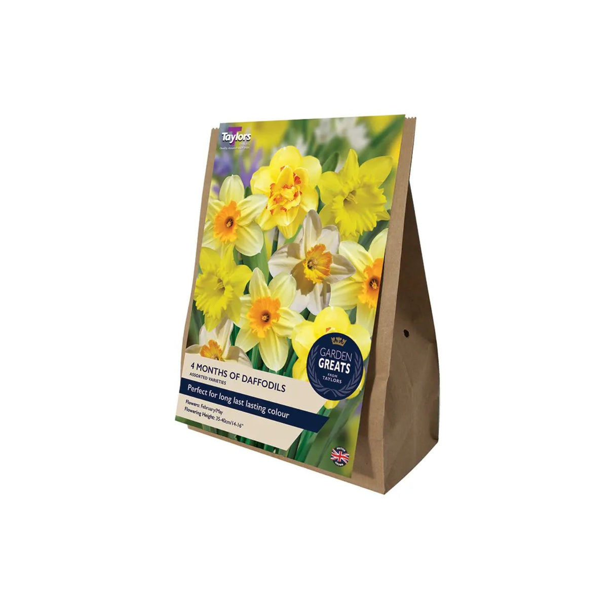 Taylors 20 4 Months of Daffodils Collection