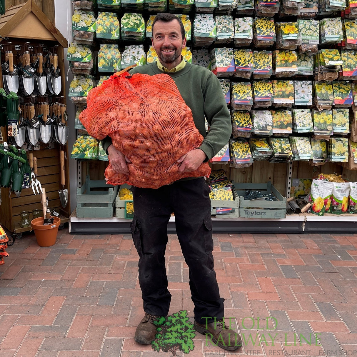 Taylors 20kg Mixed For Nature Narcissus Bulbs
