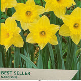 Taylors 20kg Narcissus Best Seller Bulbs