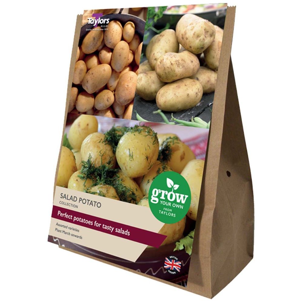 Taylors 21 Salad Potato Second Early Seed Potatoes - Old Railway Line Garden Centre