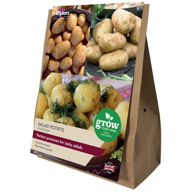 Taylors 21 Salad Potato Second Early Seed Potatoes - Old Railway Line Garden Centre