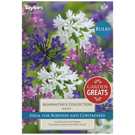 Taylors 3 Agapanthus Bulb Collection - Old Railway Line Garden Centre