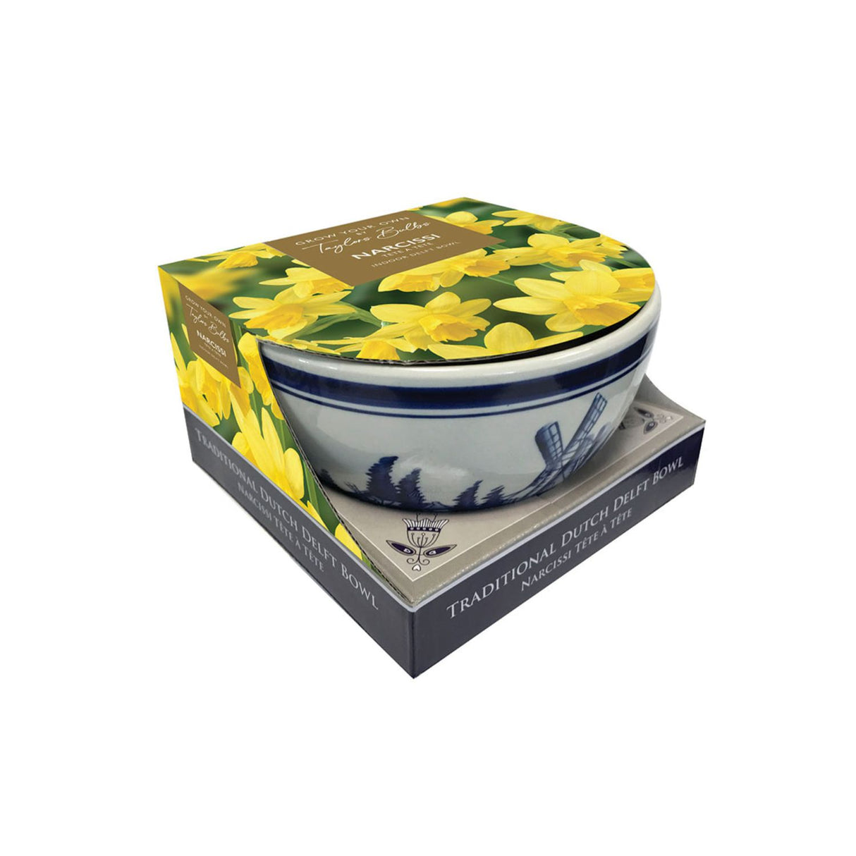 Taylors 4 Tete A Tete Narcissi Delft Bowl Indoor Bulb Gift Set