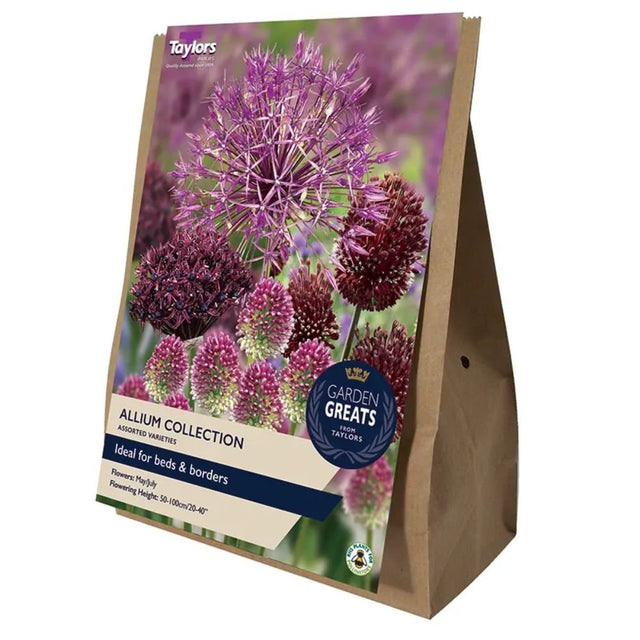 Taylors 50 Allium Collection Bulbs - Old Railway Line Garden Centre