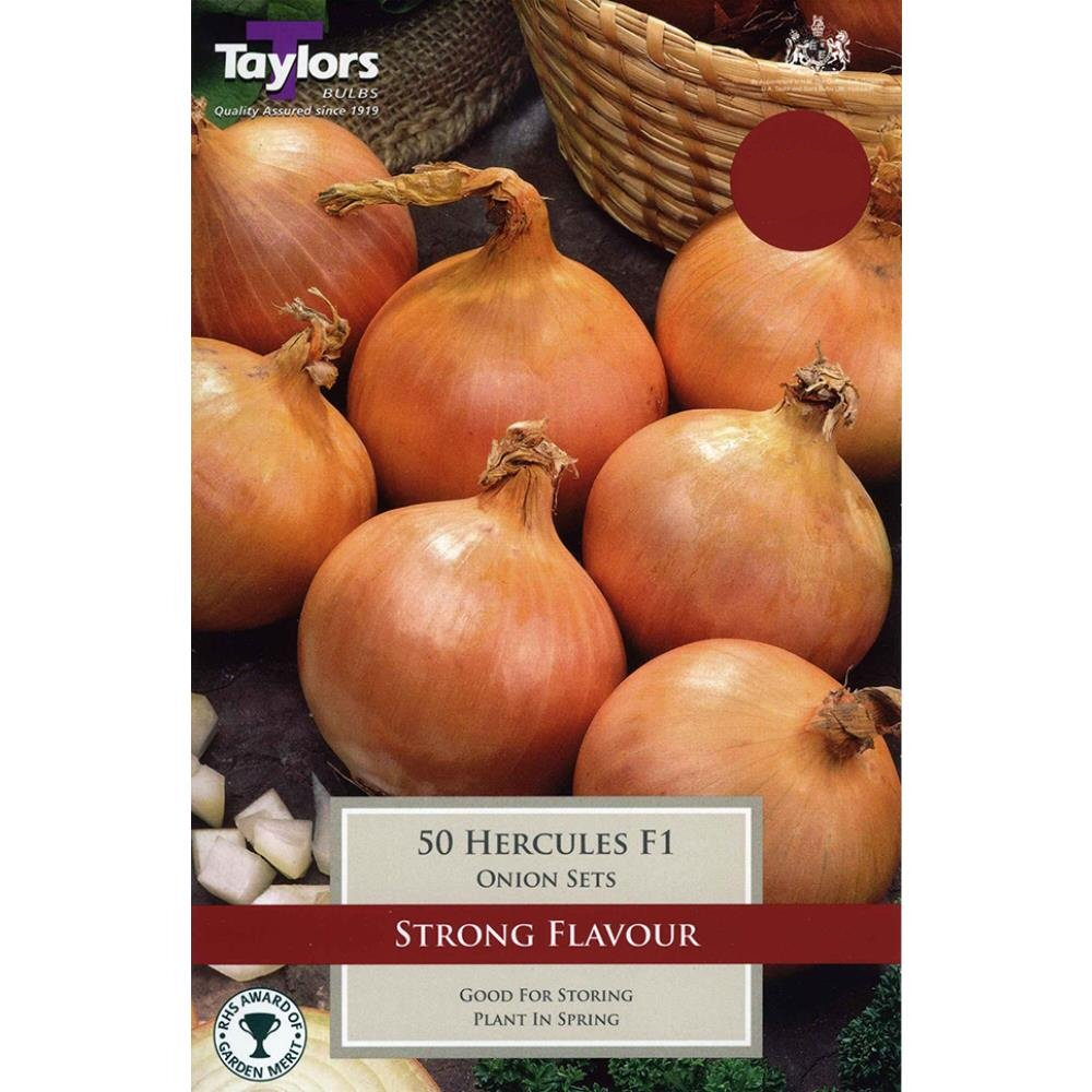Taylors 50 Onion Hercules F1 Sets – Old Railway Line Garden Centre