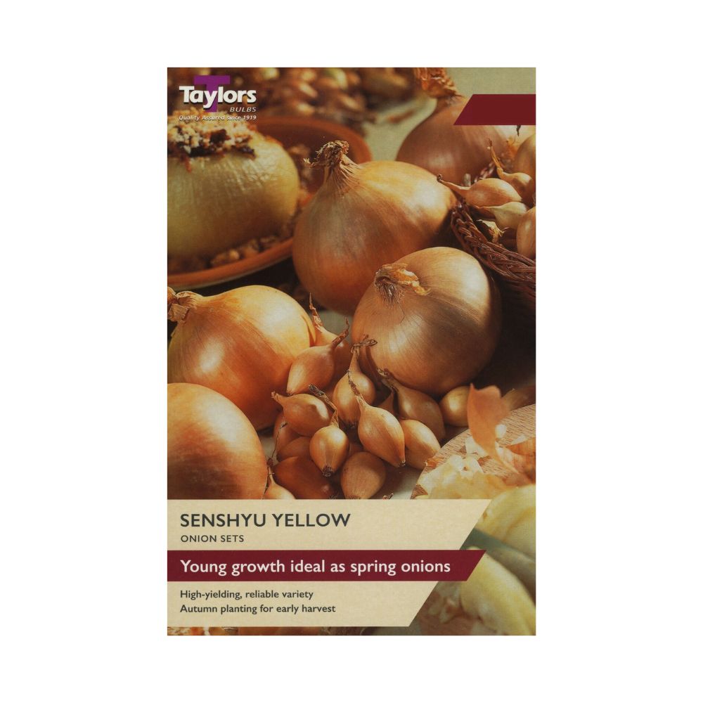 Taylors 50 Senshyu Yellow Onion Sets