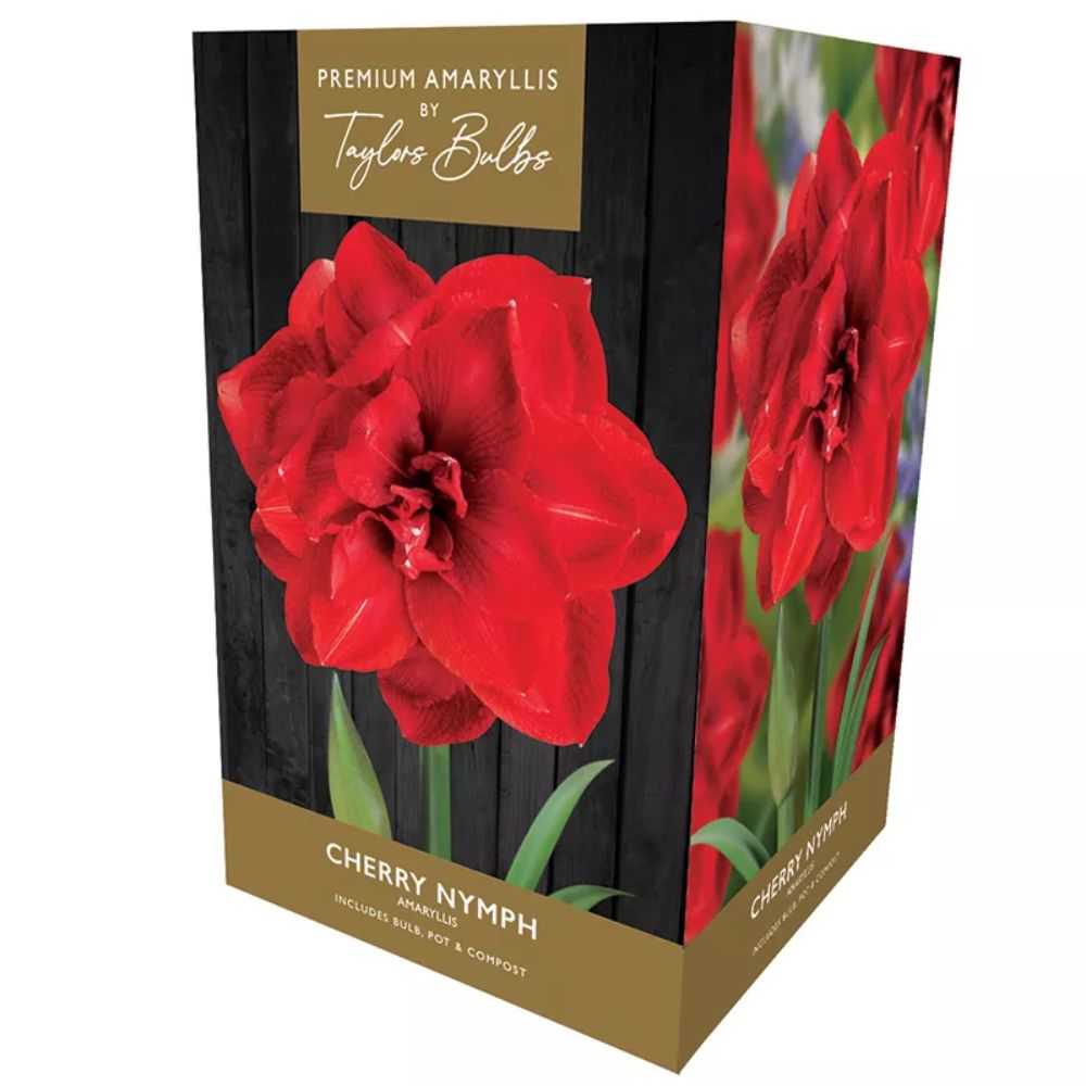 Taylors Amaryllis 'Cherry Nymph' Indoor Growing Kit