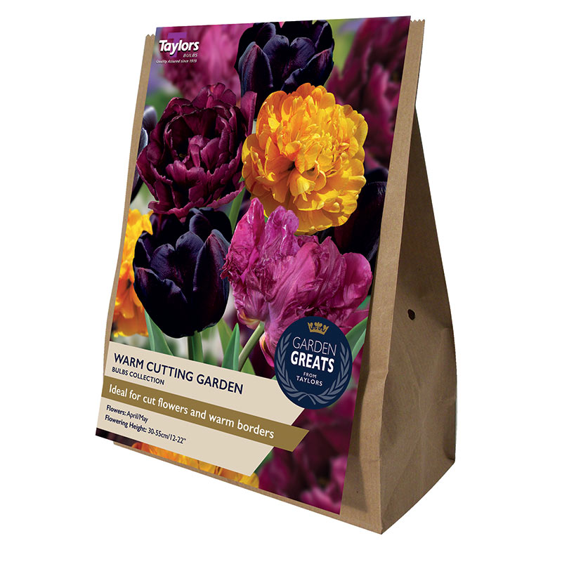 Taylors 20 Warm Cutting Garden Tulip Spring Flowering Bulbs