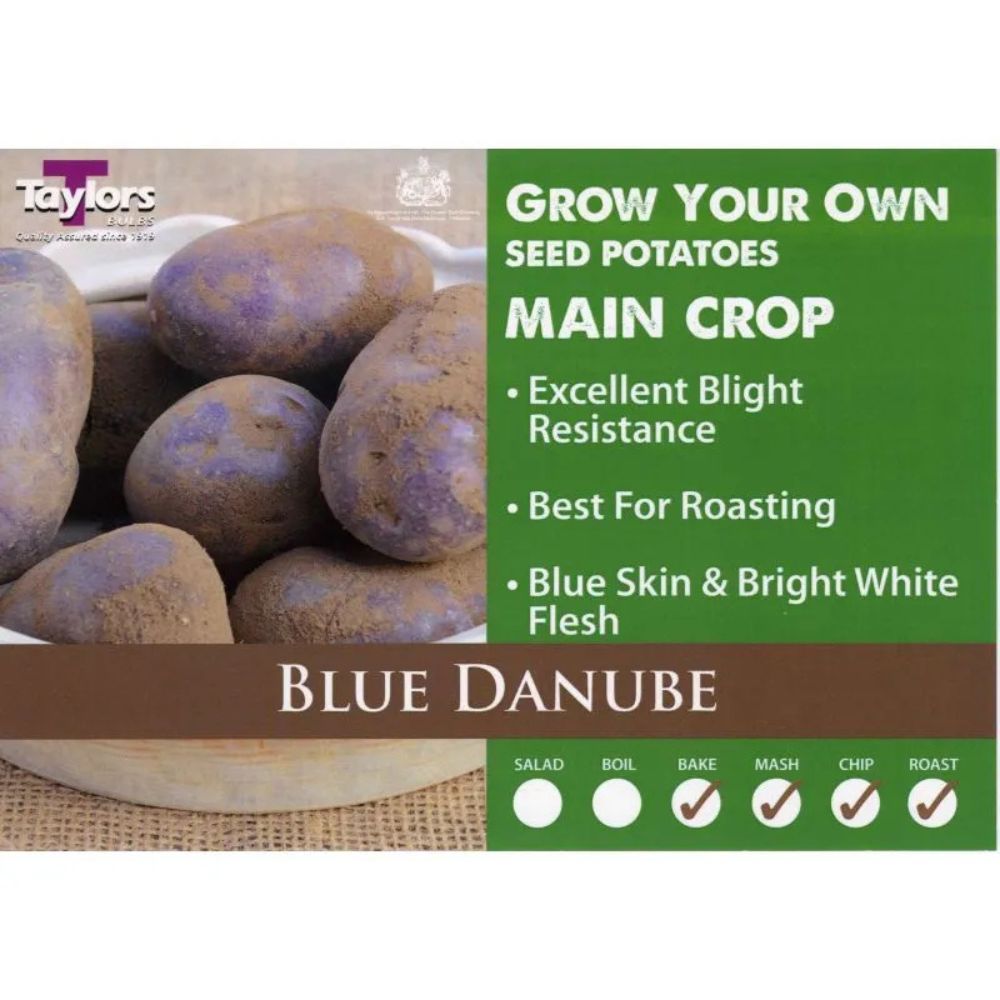 Taylors 2kg Blue Danube Main Crop Seed Potatoes