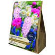 Taylors Scented Collection Bulbs - Old Railway Line Garden Centre