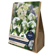 Taylors 20 Snowdrop Collection Bulbs - Old Railway Line Garden Centre