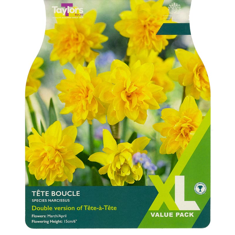 Taylors 15 Narcissus Tete Boucle Daffodil Spring Flowering Bulbs