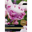 Taylors Tulip 'Double Surprise' Bulbs - Old Railway Line Garden Centre
