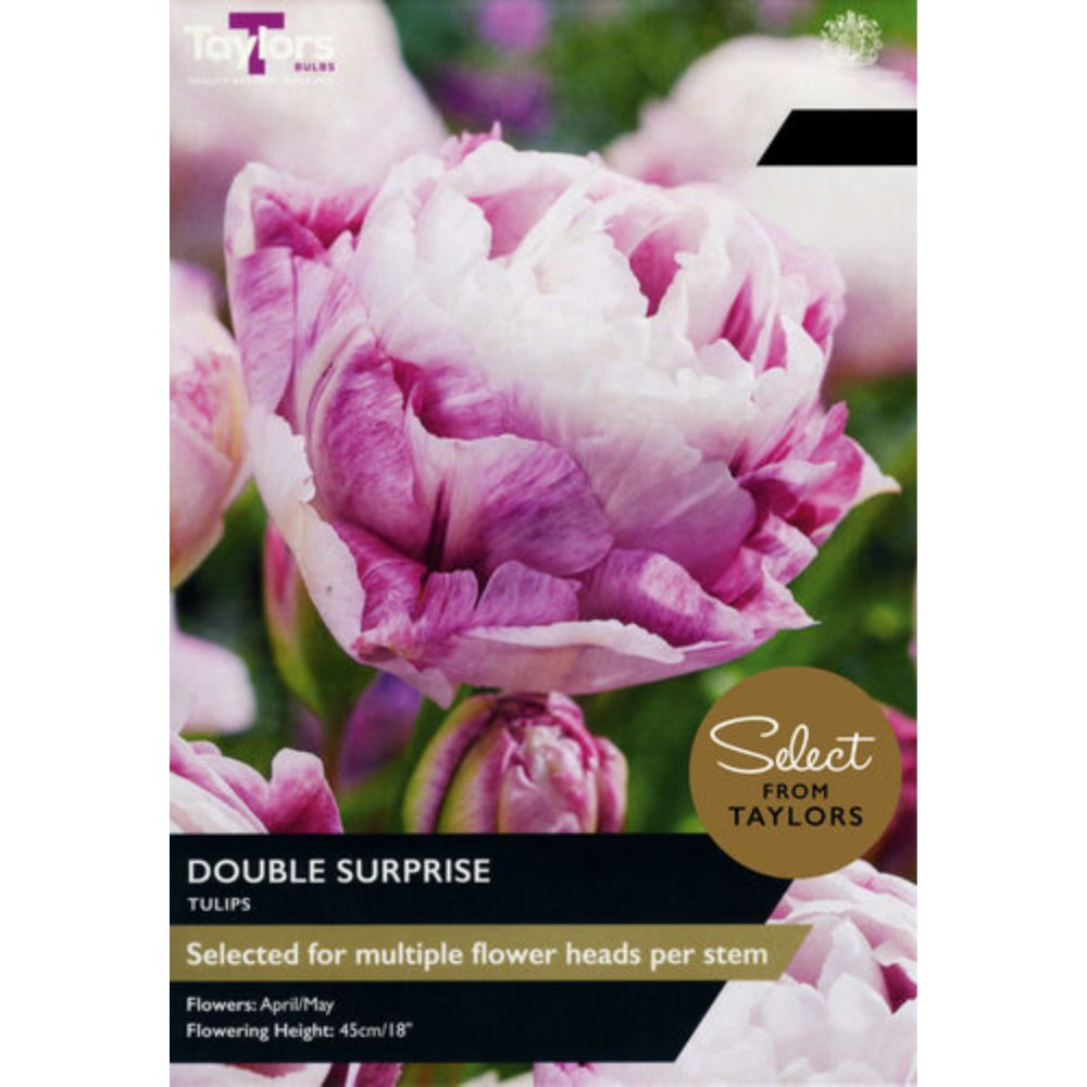 Taylors Tulip 'Double Surprise' Bulbs - Old Railway Line Garden Centre