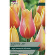 Taylors Tulips 'Blushing Lady' Bulbs - Old Railway Line Garden Centre