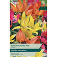 Taylors Tulips 'Naturalising Mix' Bulbs - Old Railway Line Garden Centre