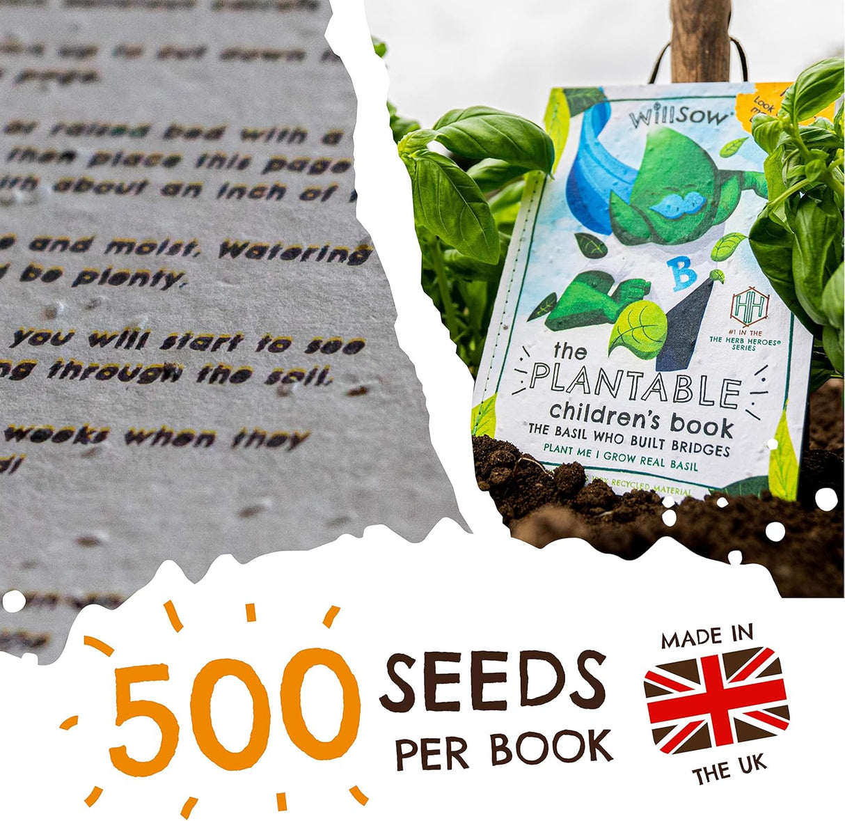 The Basil Who Built Bridges Plantable Childrens Book by Tom Lines