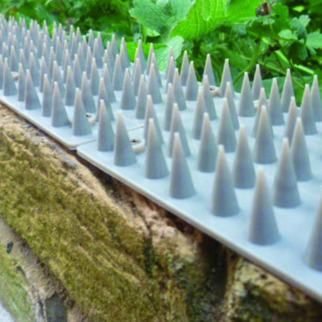 The Big Cheese 23cm Prickle Strip Brick 'N' Sill Topper - Old Railway Line Garden Centre