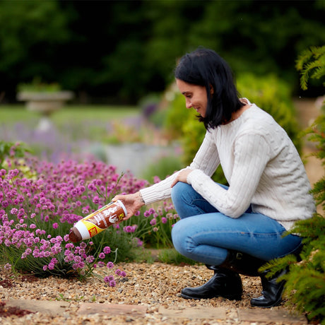 The Big Cheese 300g Pepper Dust Natural Pet Deterrent - Old Railway Line Garden Centre