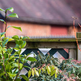 The Big Cheese 45cm Prickle Strip Garden Fence Topper - Old Railway Line Garden Centre