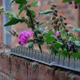 The Big Cheese 45cm Prickle Strip Garden Fence Topper - Old Railway Line Garden Centre