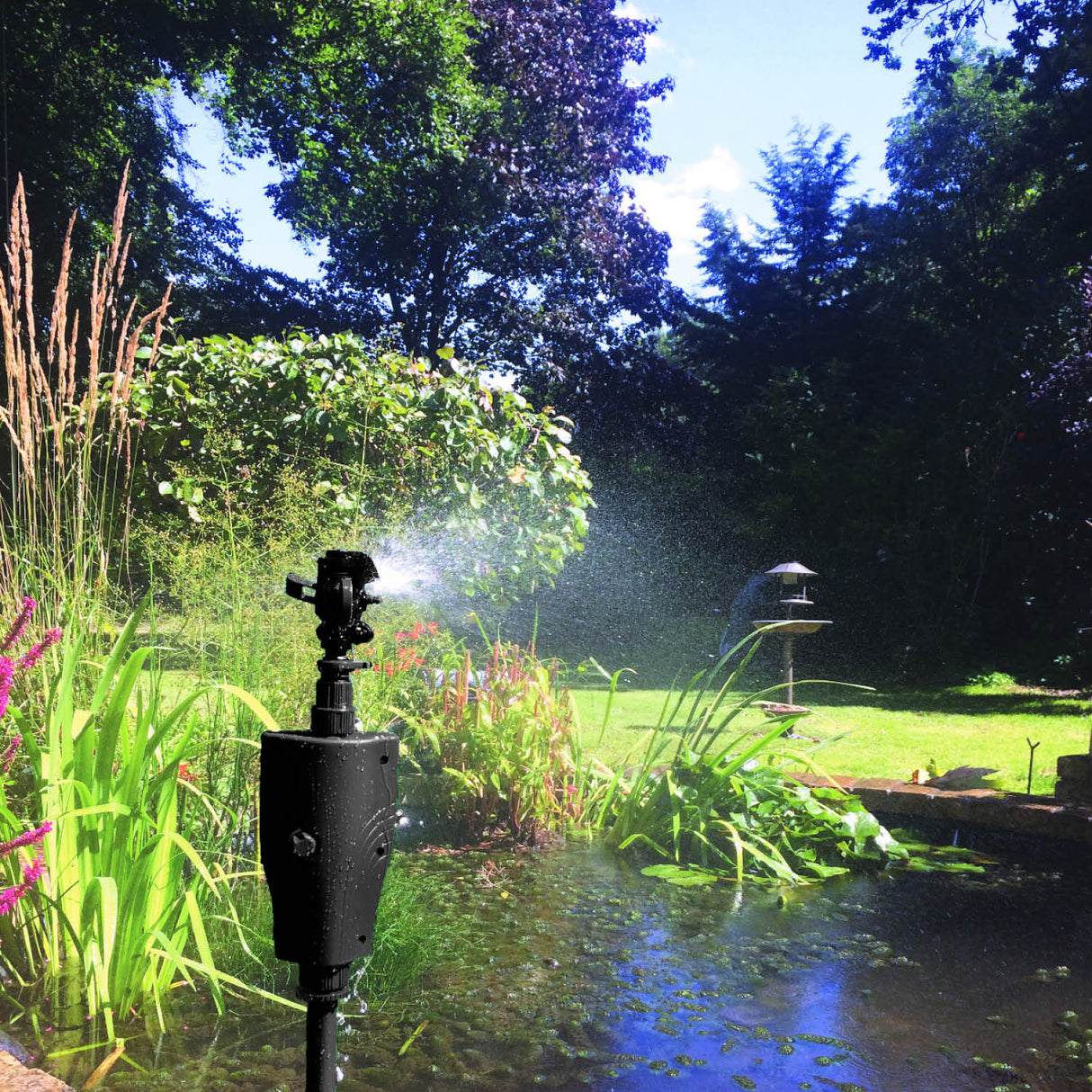 The Big Cheese Jet - Spray Pond & Garden Protector - Old Railway Line Garden Centre