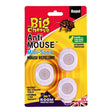 The Big Cheese Mouse Out Mini - Sonic Mouse Repellent - 3 - Pack - Old Railway Line Garden Centre