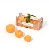 The Somerset Toiletry Co Pumpkin Spice Soap Set (Pack of 3)