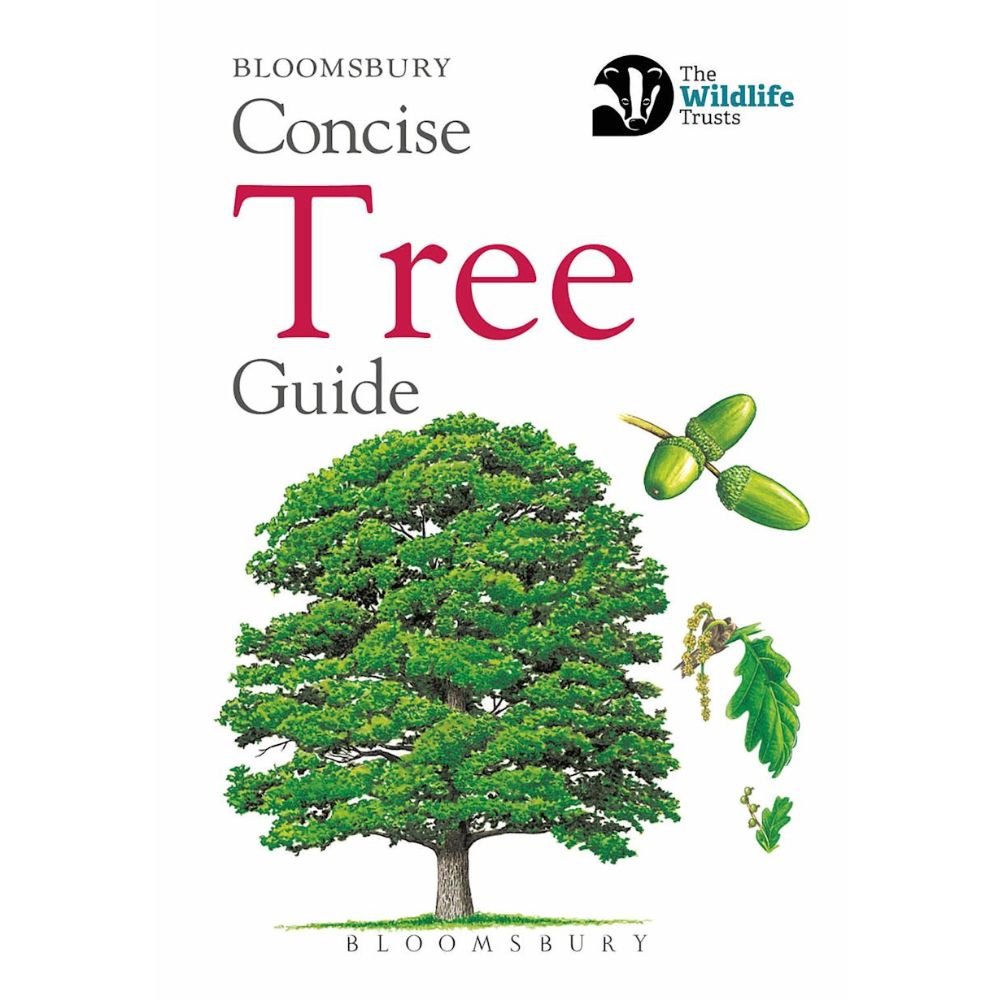 The Wildlife Trust Concise Tree Guide Book by Bloomsbury