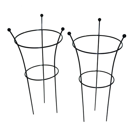 Tom Chambers 54cm Black Small Herbaceous Plant Support (Pack of 2) - Old Railway Line Garden Centre