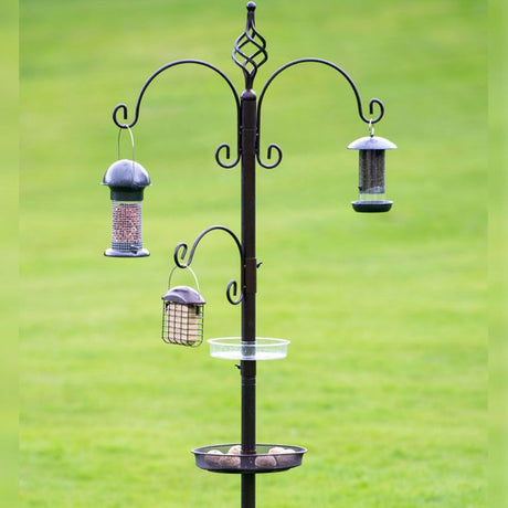 Tom Chambers 250cm Prestige Royale Bird Station