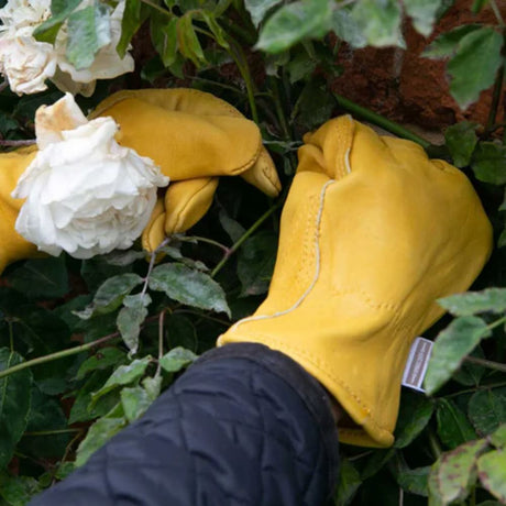 Town & Country Deluxe Premium Leather Gloves - Extra Large - Old Railway Line Garden Centre