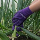 Town & Country Purple Ladies Master Gardener Glove - Small - Old Railway Line Garden Centre