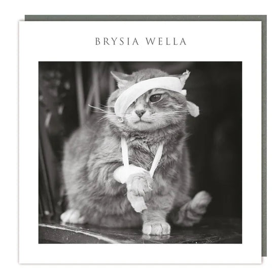 Tracks Publishing Brysia Wella Poorly Kitty Cat Blank Card