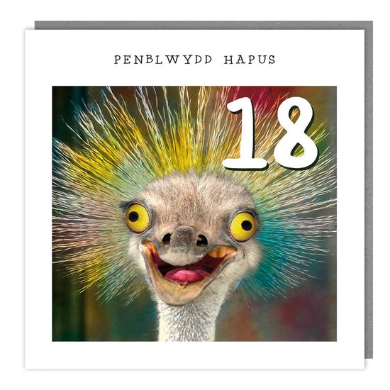 Tracks Publishing Penblwydd Hapus 18th Hair Raising Ostrich Blank Card