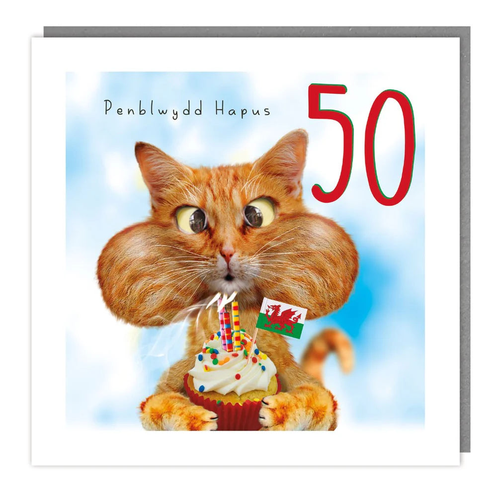Tracks Publishing Penblwydd Hapus 50th Cat & Cake Blank Card