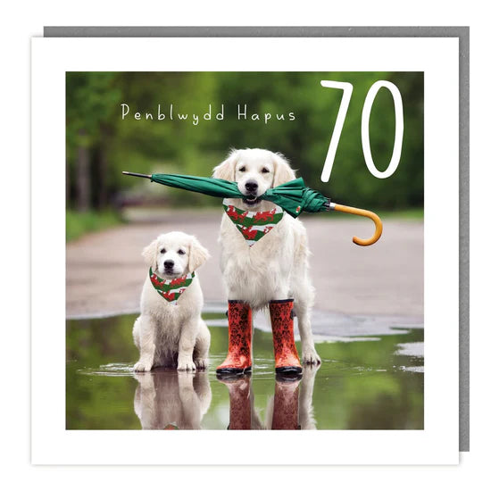 Tracks Publishing Penblwydd Hapus 70th Dogs in Puddles Blank Card