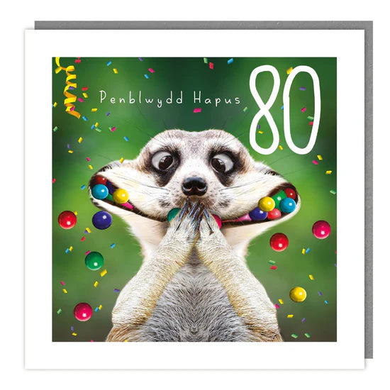Tracks Publishing Penblwydd Hapus 80th Meerkat Blank Card